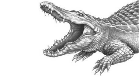 Иллюстрация к книге — Опасные волны [i_031.jpg]