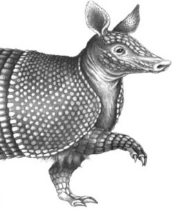 Иллюстрация к книге — Опасные волны [i_037.jpg]