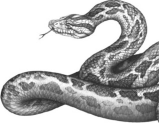 Иллюстрация к книге — Опасные волны [i_040.jpg]