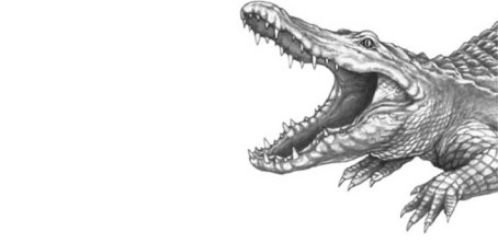 Иллюстрация к книге — Опасные волны [i_041.jpg]