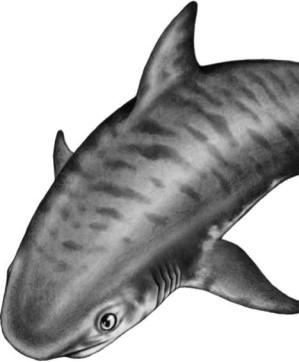 Иллюстрация к книге — Опасные волны [i_043.jpg]