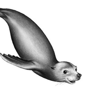 Иллюстрация к книге — Опасные волны [i_044.jpg]