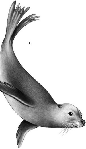 Иллюстрация к книге — Опасные волны [i_046.jpg]