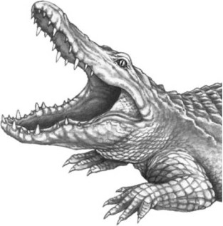 Иллюстрация к книге — Опасные волны [i_048.jpg]