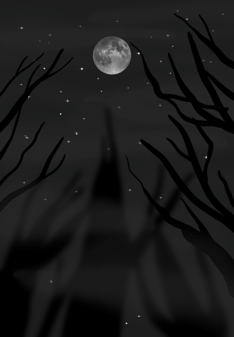 Иллюстрация к книге — Пять судеб. Каменный принц [_15.jpg]