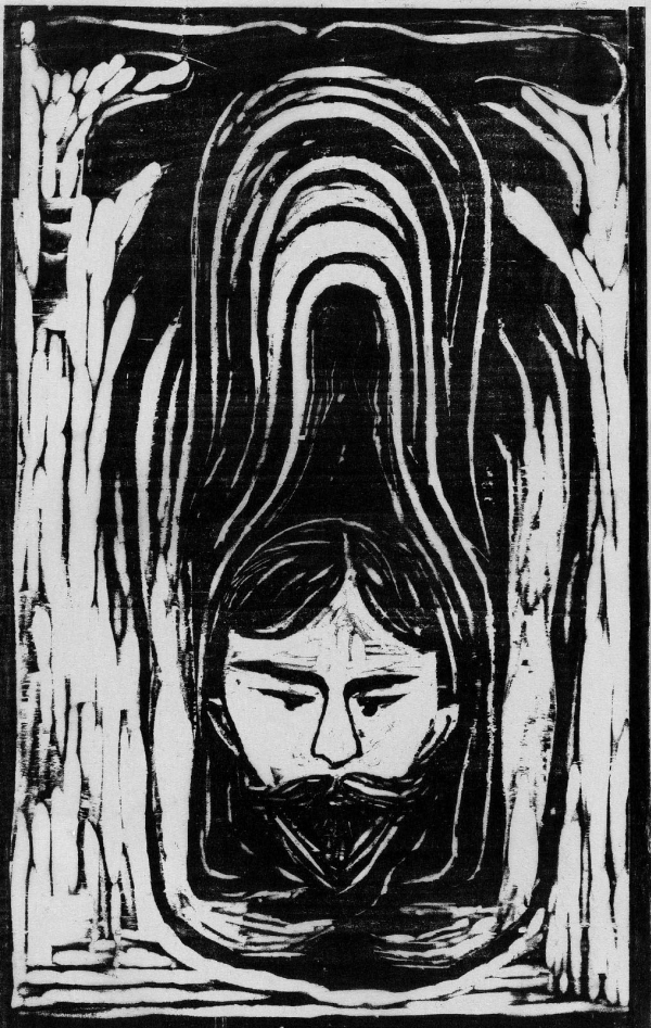 Иллюстрация к книге — Дневники и письма [i_047.jpg]