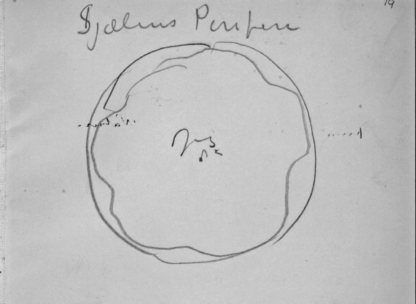 Иллюстрация к книге — Дневники и письма [i_079.jpg]