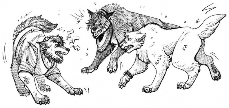 Иллюстрация к книге — Яжмаг. Клуб отверженных магов [i_013.jpg]