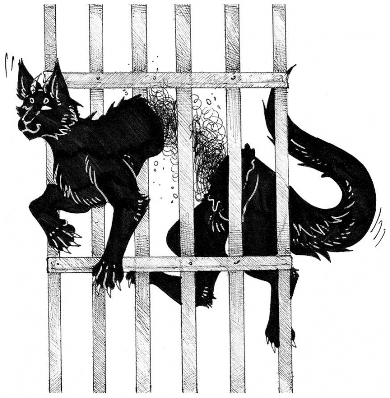 Иллюстрация к книге — Яжмаг. Клуб отверженных магов [i_026.jpg]