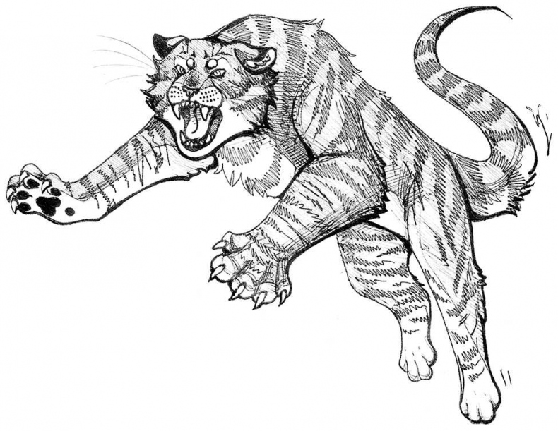 Иллюстрация к книге — Яжмаг. Клуб отверженных магов [i_031.jpg]