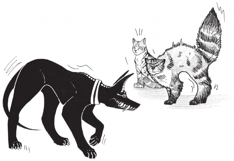 Иллюстрация к книге — Яжмаг вне закона [i_022.jpg]