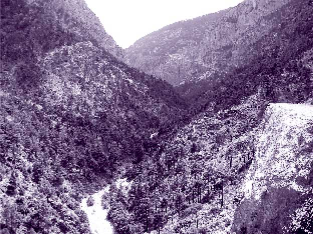 Иллюстрация к книге — Агата Кристи. Она написала убийство [i_097.jpg]