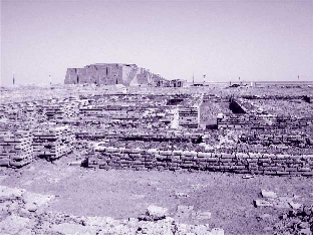 Иллюстрация к книге — Агата Кристи. Она написала убийство [i_111.jpg]