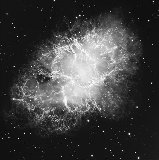 Иллюстрация к книге — Внеземной. В поисках инопланетного разума [i_016.jpg]