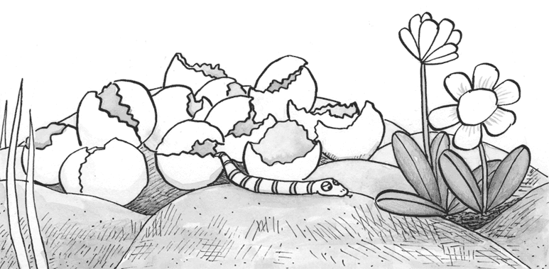 Иллюстрация к книге — Драконы и зефирки [i_022.jpg]