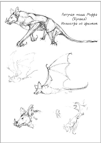 Иллюстрация к книге — Беззвездный Венец [i_002.jpg]