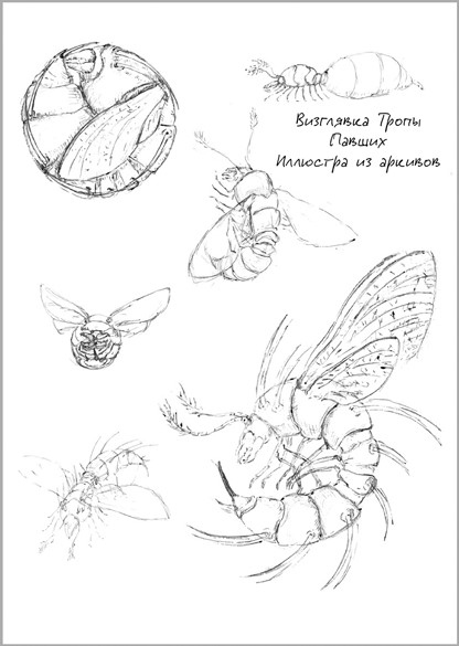 Иллюстрация к книге — Беззвездный Венец [i_007.jpg]