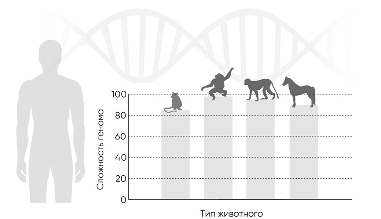 Иллюстрация к книге — Код долголетия. 12 понятных и доступных способов сохранить здоровье, ясность ума и привлекательность на долгие годы [i_004.jpg]