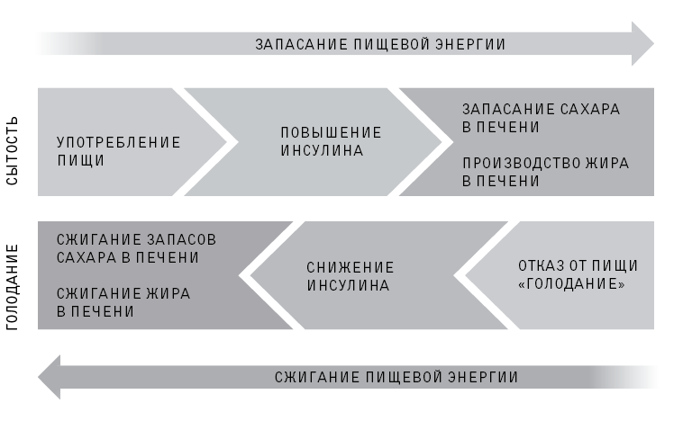 Иллюстрация к книге — Код долголетия. 12 понятных и доступных способов сохранить здоровье, ясность ума и привлекательность на долгие годы [i_022.jpg]