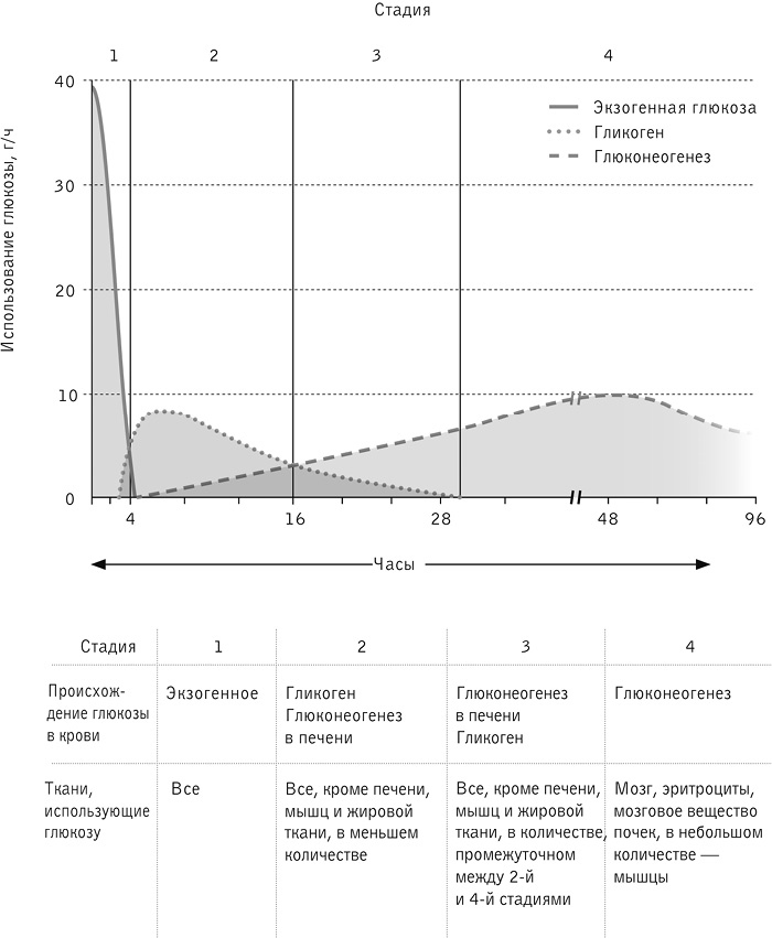 Иллюстрация к книге — Код долголетия. 12 понятных и доступных способов сохранить здоровье, ясность ума и привлекательность на долгие годы [i_023.jpg]