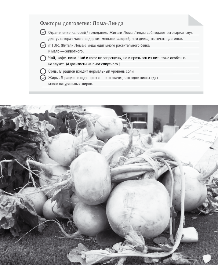 Иллюстрация к книге — Код долголетия. 12 понятных и доступных способов сохранить здоровье, ясность ума и привлекательность на долгие годы [i_053.jpg]