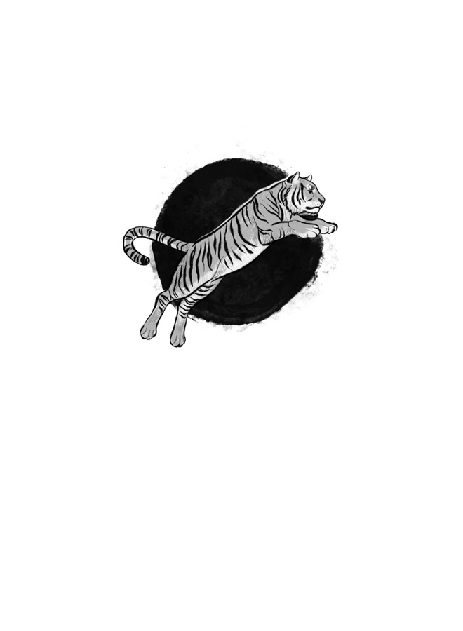 Иллюстрация к книге — Когда тигр спустился с горы [i_001.jpg]