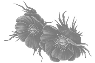 Иллюстрация к книге — Урок возмездия [i_004.jpg]