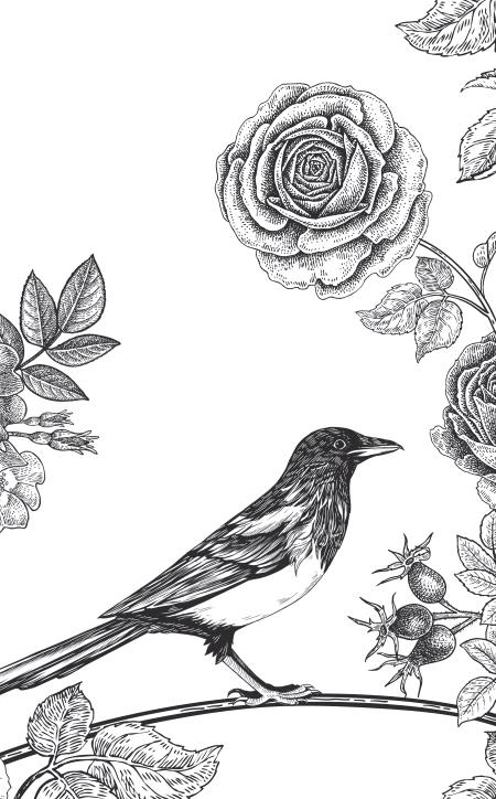 Иллюстрация к книге — Повелитель сорок [i_019.jpg]