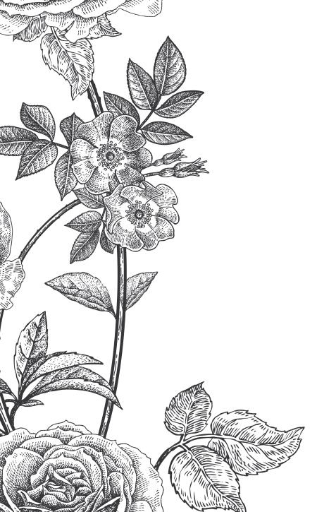 Иллюстрация к книге — Повелитель сорок [i_021.jpg]