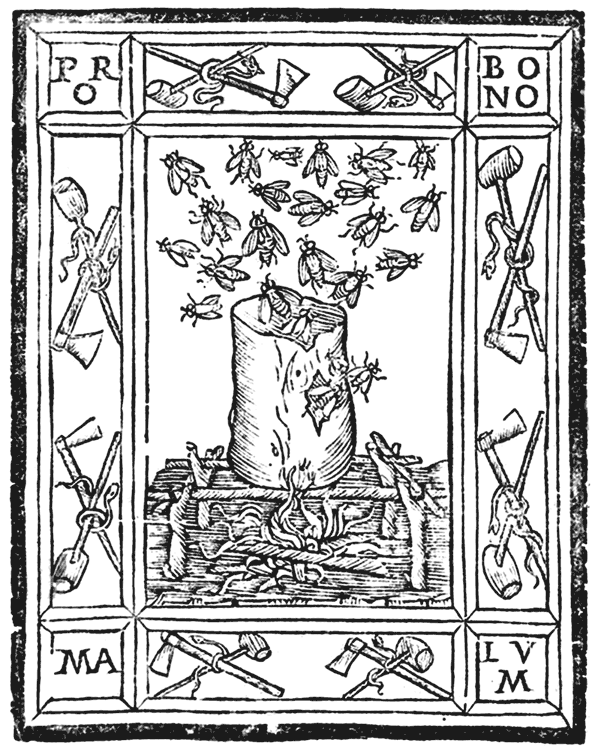 Иллюстрация к книге — Микеланджело и Сикстинская капелла [i_042.jpg]