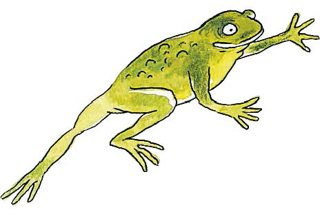 Иллюстрация к книге — Кастрюля для воспитания [i_006.jpg]