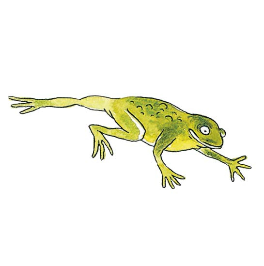 Иллюстрация к книге — Кастрюля для воспитания [i_009.jpg]