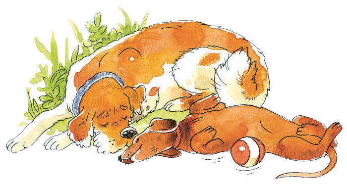 Иллюстрация к книге — Кастрюля для воспитания [i_022.jpg]