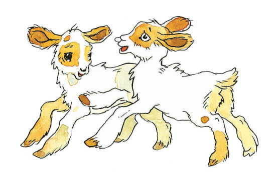 Иллюстрация к книге — Кастрюля для воспитания [i_032.jpg]