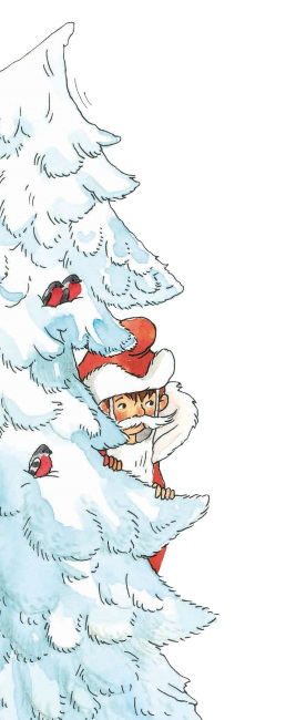 Иллюстрация к книге — Влюблённый Дед Мороз [i_010.jpg]