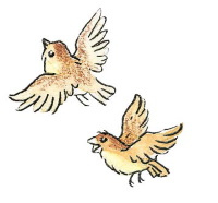 Иллюстрация к книге — Влюблённый Дед Мороз [i_021.jpg]