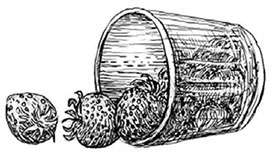 Иллюстрация к книге — Танамор. Незримый враг [i_033.jpg]