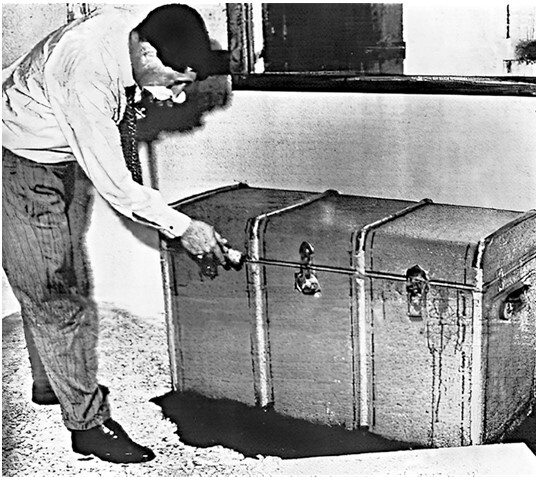 Teshigi eskirgan yoqimli qoramagiz katta yigitni ziyorat qilmoqda