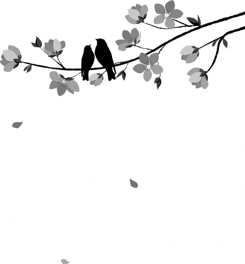 Иллюстрация к книге — Застенчивость в квадрате [_1.jpg]