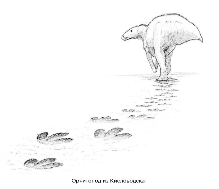 Иллюстрация к книге — Динозавры России. Прошлое, настоящее, будущее [i_008.jpg]