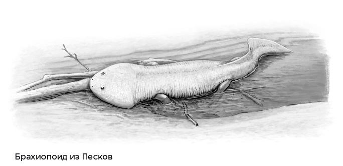 Иллюстрация к книге — Динозавры России. Прошлое, настоящее, будущее [i_016.jpg]