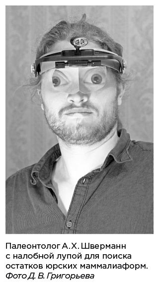 Иллюстрация к книге — Динозавры России. Прошлое, настоящее, будущее [i_020.jpg]