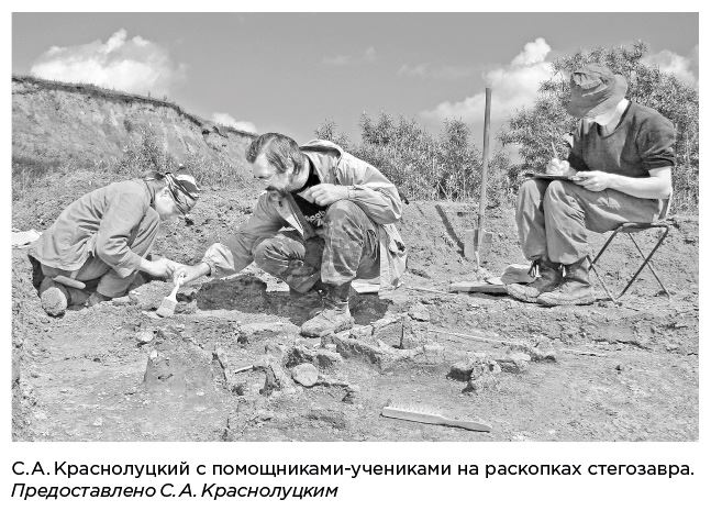 Иллюстрация к книге — Динозавры России. Прошлое, настоящее, будущее [i_022.jpg]