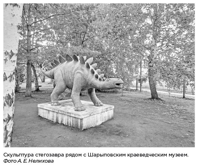 Иллюстрация к книге — Динозавры России. Прошлое, настоящее, будущее [i_029.jpg]