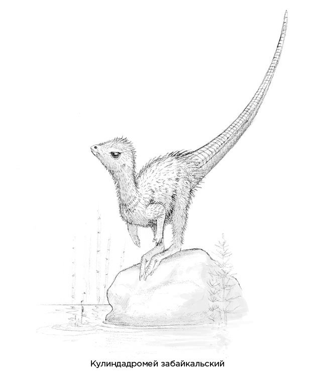 Иллюстрация к книге — Динозавры России. Прошлое, настоящее, будущее [i_030.jpg]