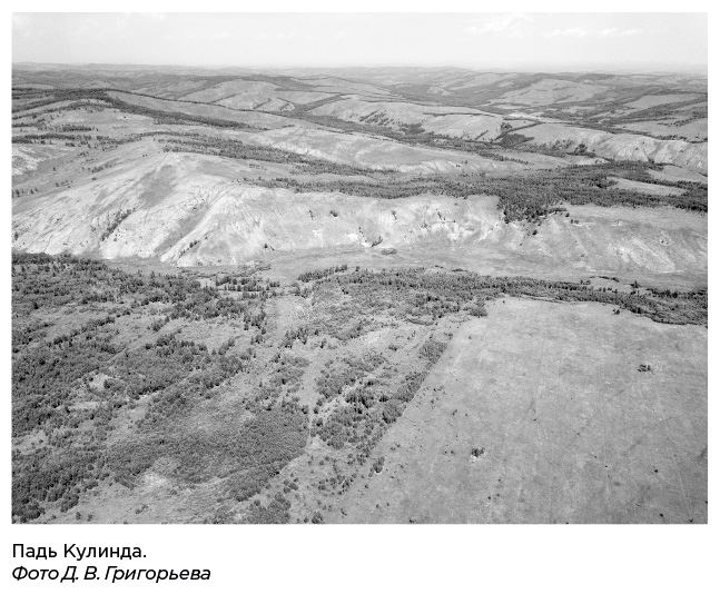 Иллюстрация к книге — Динозавры России. Прошлое, настоящее, будущее [i_032.jpg]