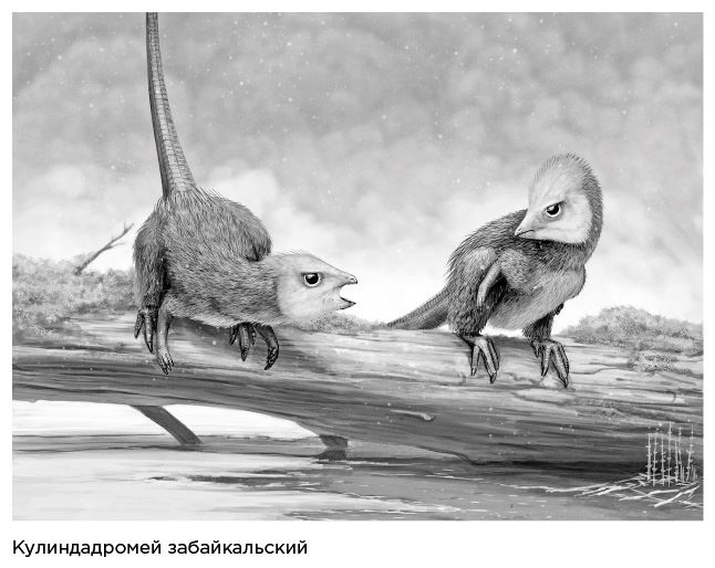 Иллюстрация к книге — Динозавры России. Прошлое, настоящее, будущее [i_034.jpg]