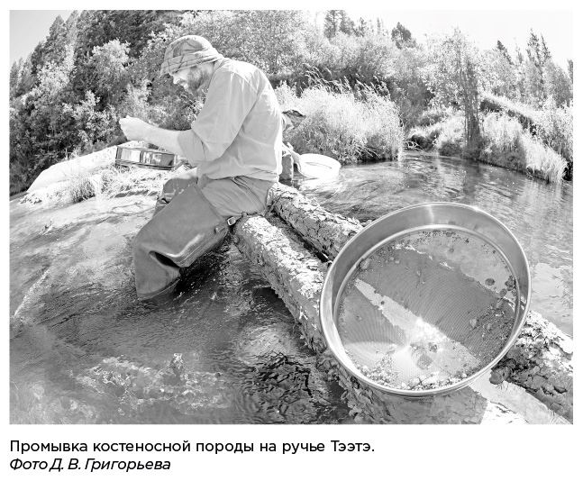 Иллюстрация к книге — Динозавры России. Прошлое, настоящее, будущее [i_038.jpg]