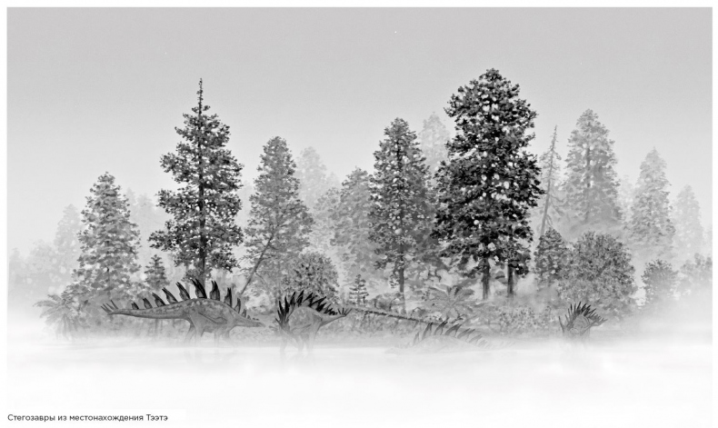 Иллюстрация к книге — Динозавры России. Прошлое, настоящее, будущее [i_041.jpg]