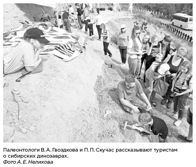 Иллюстрация к книге — Динозавры России. Прошлое, настоящее, будущее [i_043.jpg]